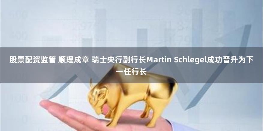 股票配资监管 顺理成章 瑞士央行副行长Martin Schlegel成功晋升为下一任行长