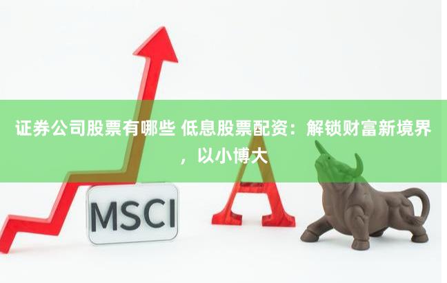 证券公司股票有哪些 低息股票配资：解锁财富新境界，以小博大