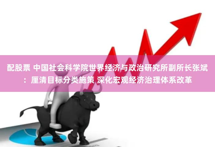 配股票 中国社会科学院世界经济与政治研究所副所长张斌：厘清目标分类施策 深化宏观经济治理体系改革