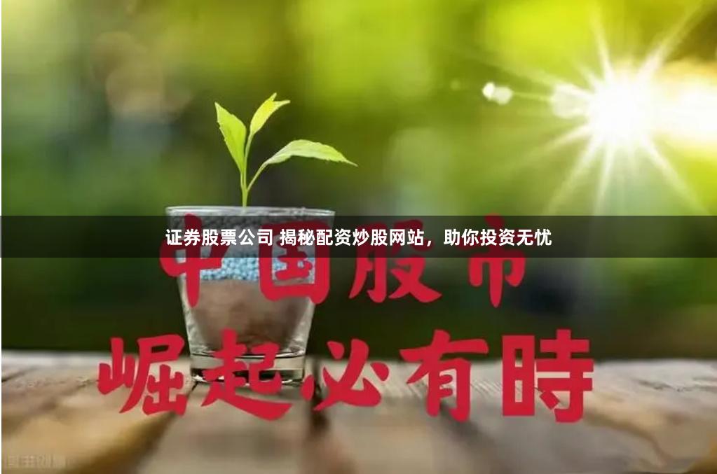 证券股票公司 揭秘配资炒股网站，助你投资无忧
