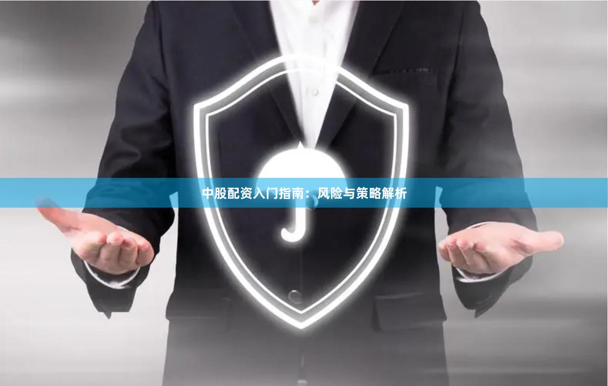 中股配资入门指南：风险与策略解析