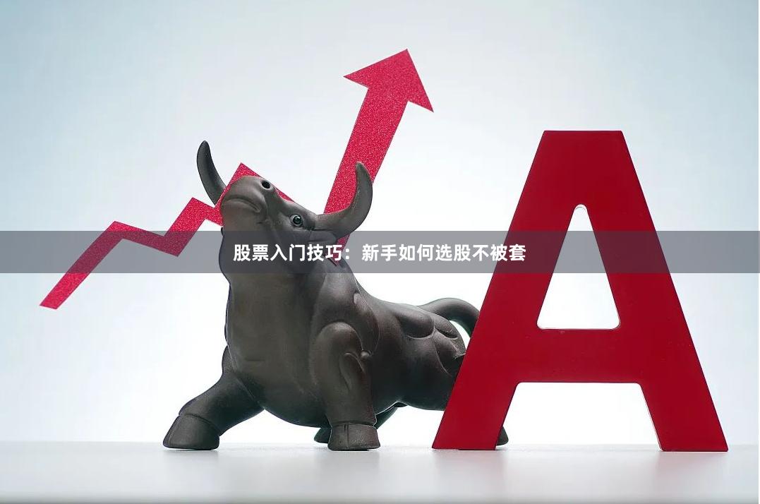 股票入门技巧：新手如何选股不被套