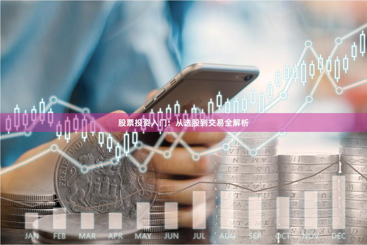 股票投资入门：从选股到交易全解析