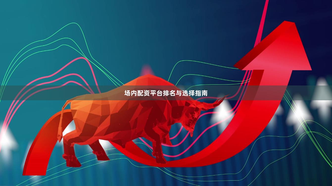 场内配资平台排名与选择指南