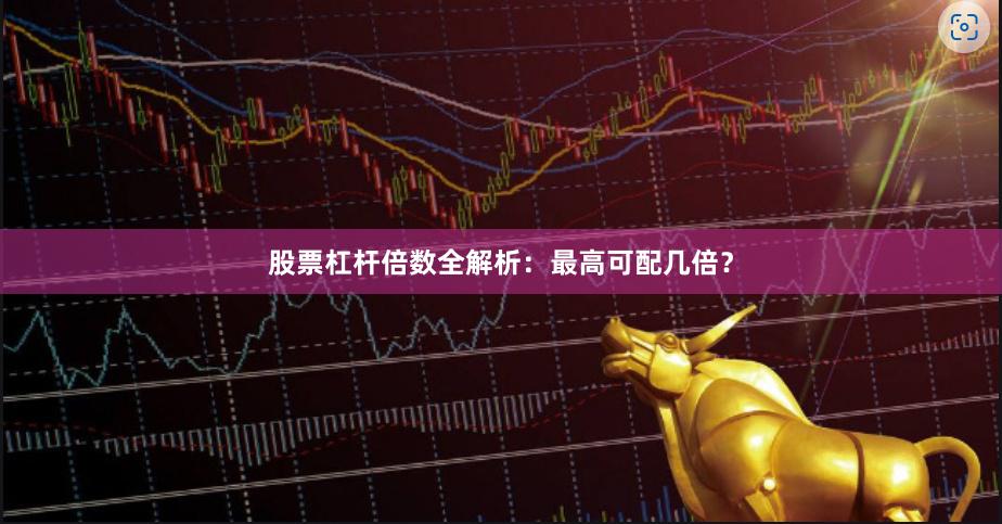 股票杠杆倍数全解析：最高可配几倍？